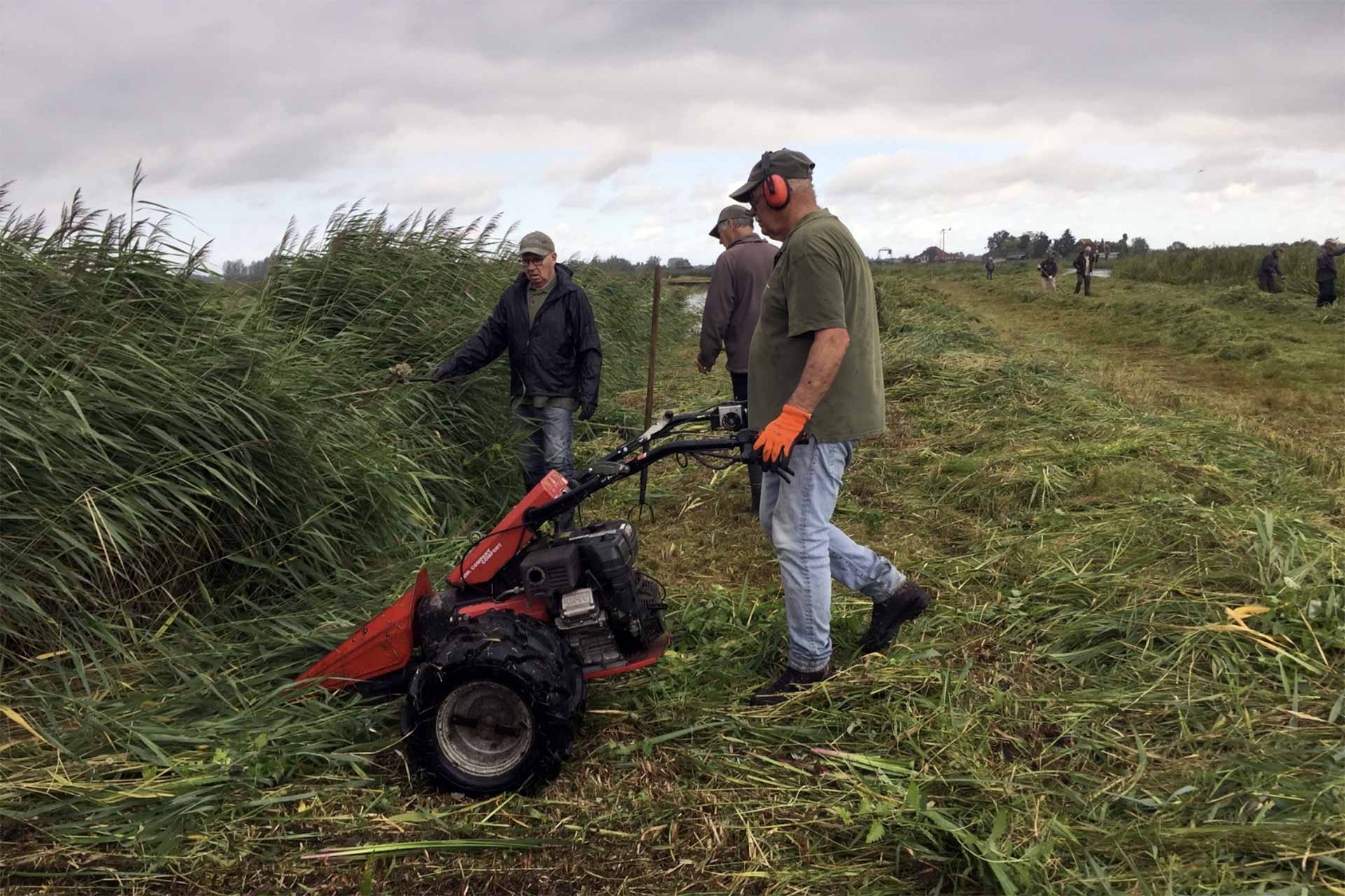 Help mee: Kalverpolder